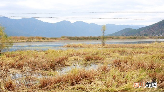 惬意丽江：到泸沽湖看景，到束河古镇享受生活