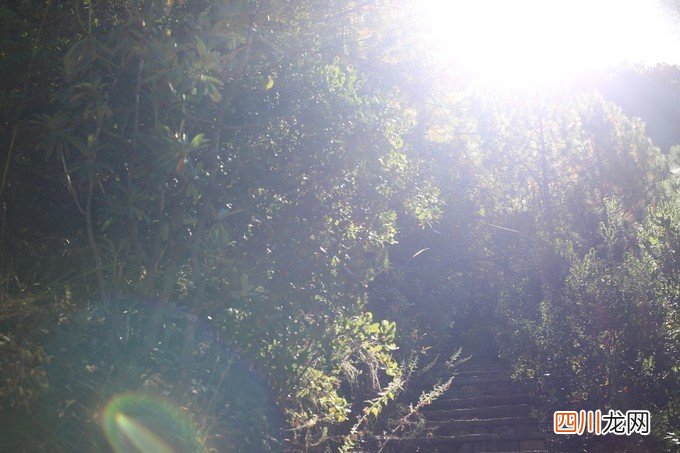 惬意丽江：到泸沽湖看景，到束河古镇享受生活