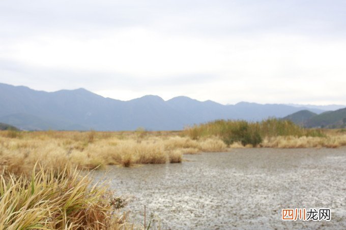 惬意丽江：到泸沽湖看景，到束河古镇享受生活