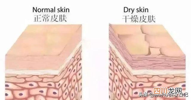 秋冬也要水嘟嘟，以油养肤美翻天秘籍get，把钱花对有多快乐