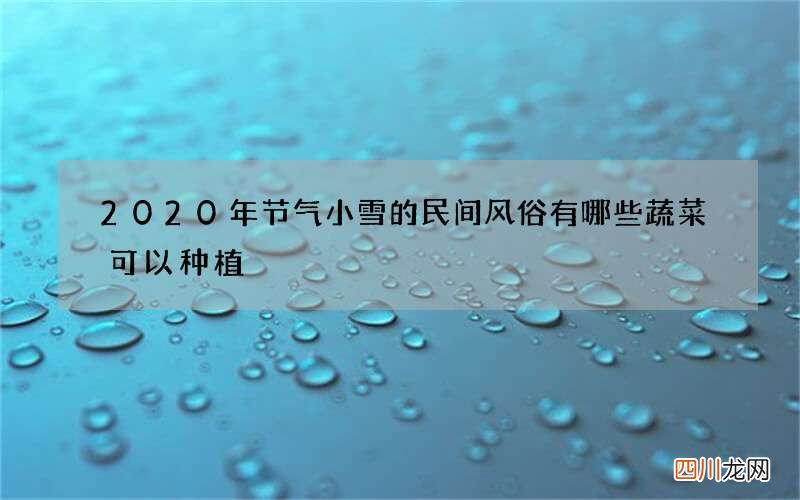 2020年节气小雪的民间风俗 有哪些蔬菜可以种植