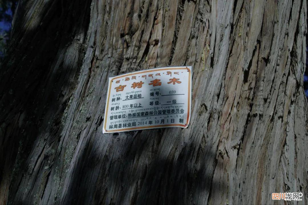 强烈建议分享 百香籽压箱底干货！当心，颠覆你的三观！