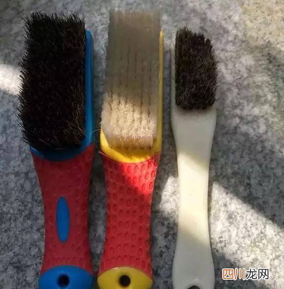金刚菩能不能盘红？看子就知道！