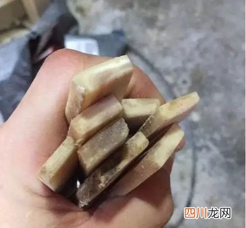 油润通透的驼骨手串，自己动手做一串！