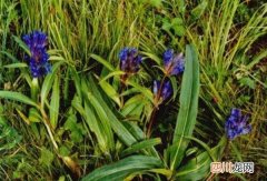 五七生骨方治疗风湿骨病有效果吗？五七生骨方是祖传的吗？