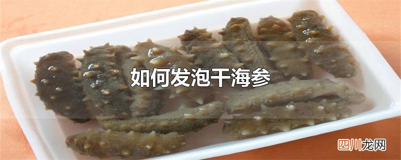 如何发泡干海参