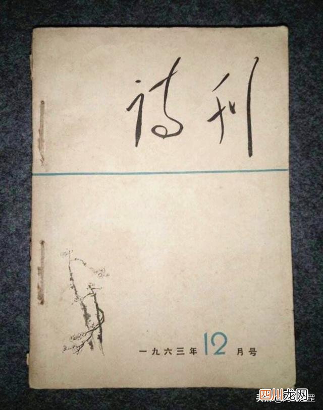 《沁园春雪》被臧克家改了一个字，诗意提升不少，毛主席非常满意