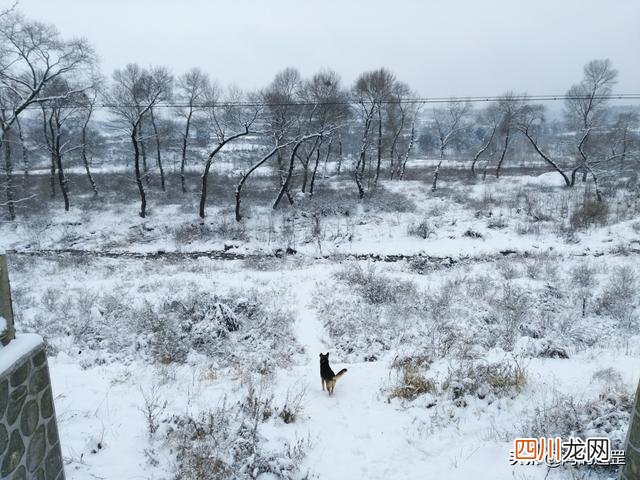 《沁园春雪》被臧克家改了一个字，诗意提升不少，毛主席非常满意