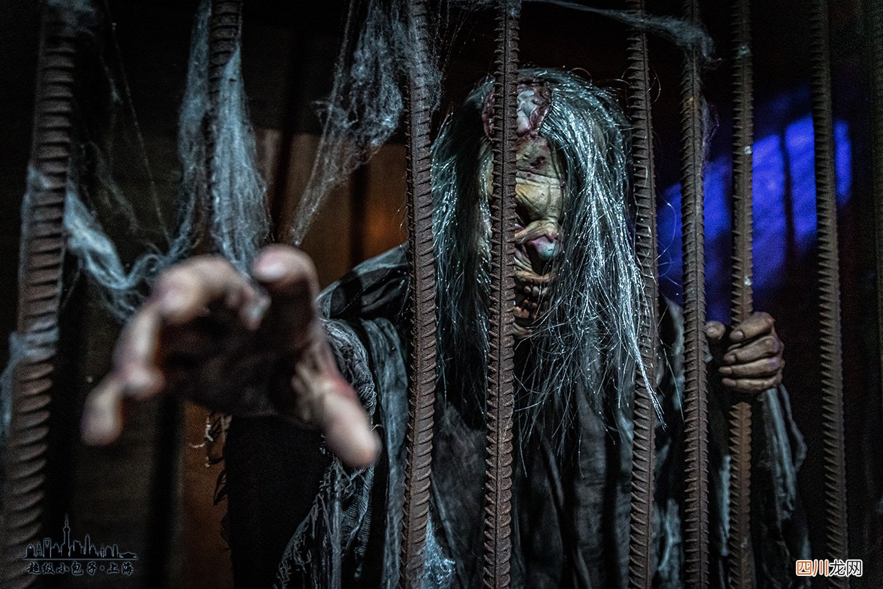 魔都周末最佳打卡地|有吃有喝有表演，能玩水还不晒
