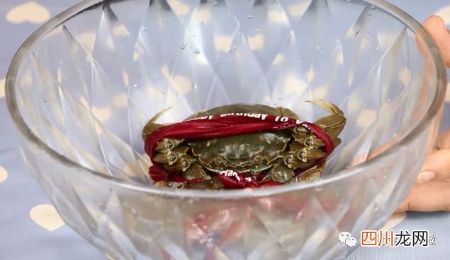 大闸蟹怎么保存才不死？