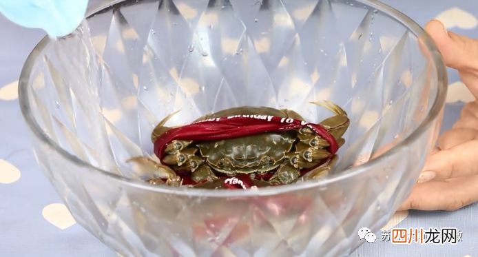 大闸蟹怎么保存才不死？