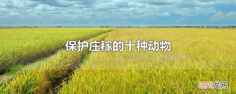 保护庄稼的十种动物