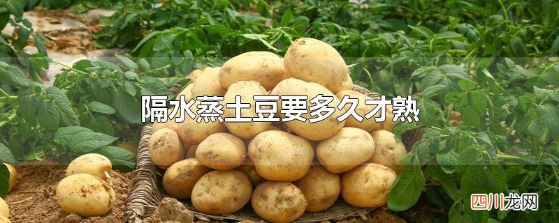 隔水蒸土豆要多久才熟
