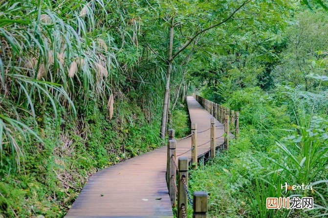 山水宝藏地，安徽石台三日游