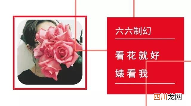 喷火战机的重整之路
