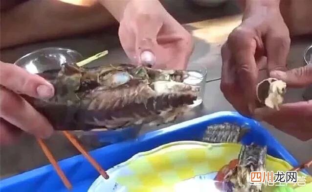 清道夫是职业杀手的意思吗 清道夫是什么意思