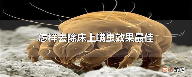 怎样去除床上螨虫效果最佳