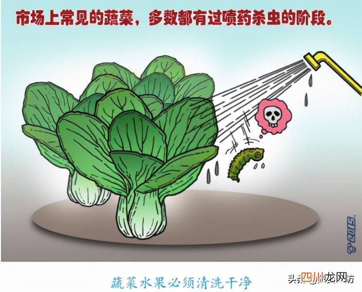 食品安全常识基本知识 如何预防食物中毒