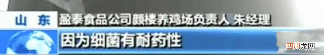 速成鸡有没有营养 中国一年吃掉50亿速成鸡！速成鸡能给娃吃吗？到底有没有激素？