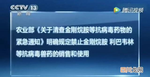速成鸡有没有营养 中国一年吃掉50亿速成鸡！速成鸡能给娃吃吗？到底有没有激素？