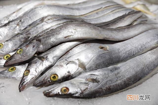 带鱼为什么这么腥 起底带鱼的腥味来源，别再冤枉“鱼鳞”了，它真不是罪魁祸首