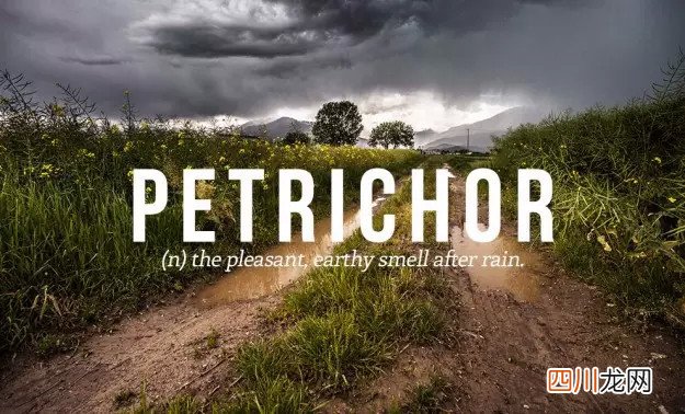 离职多久可以提取公积金 我辞职了公积金怎么取