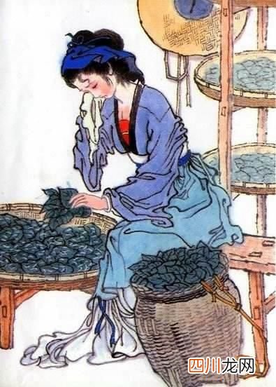 杜荀鹤这首古诗 古诗不是养什么人