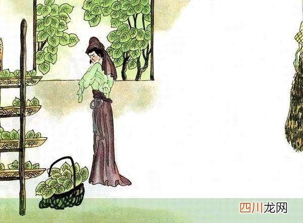 杜荀鹤这首古诗 古诗不是养什么人