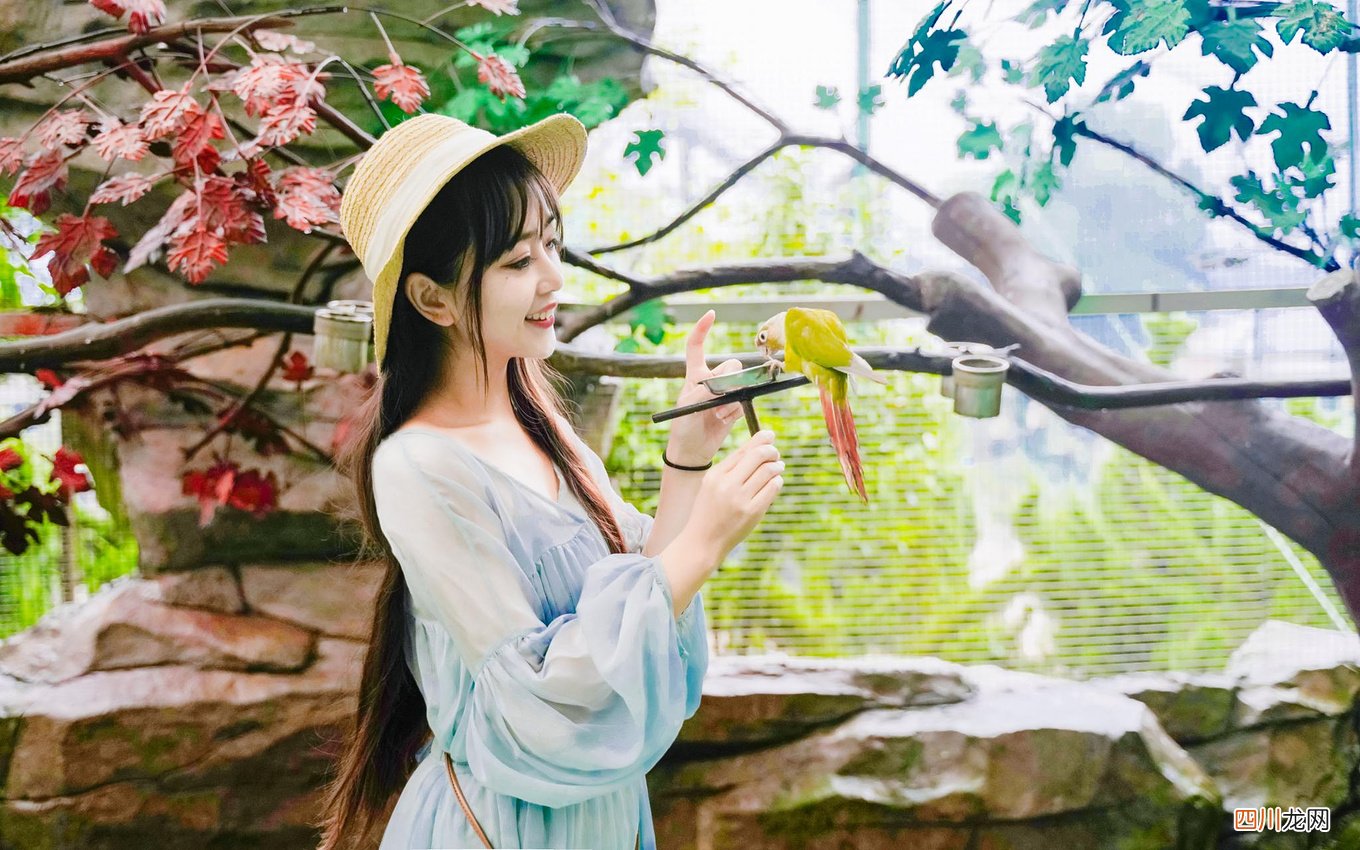 避暑西霞口，在威海过个亲海戏水的浪漫夏天