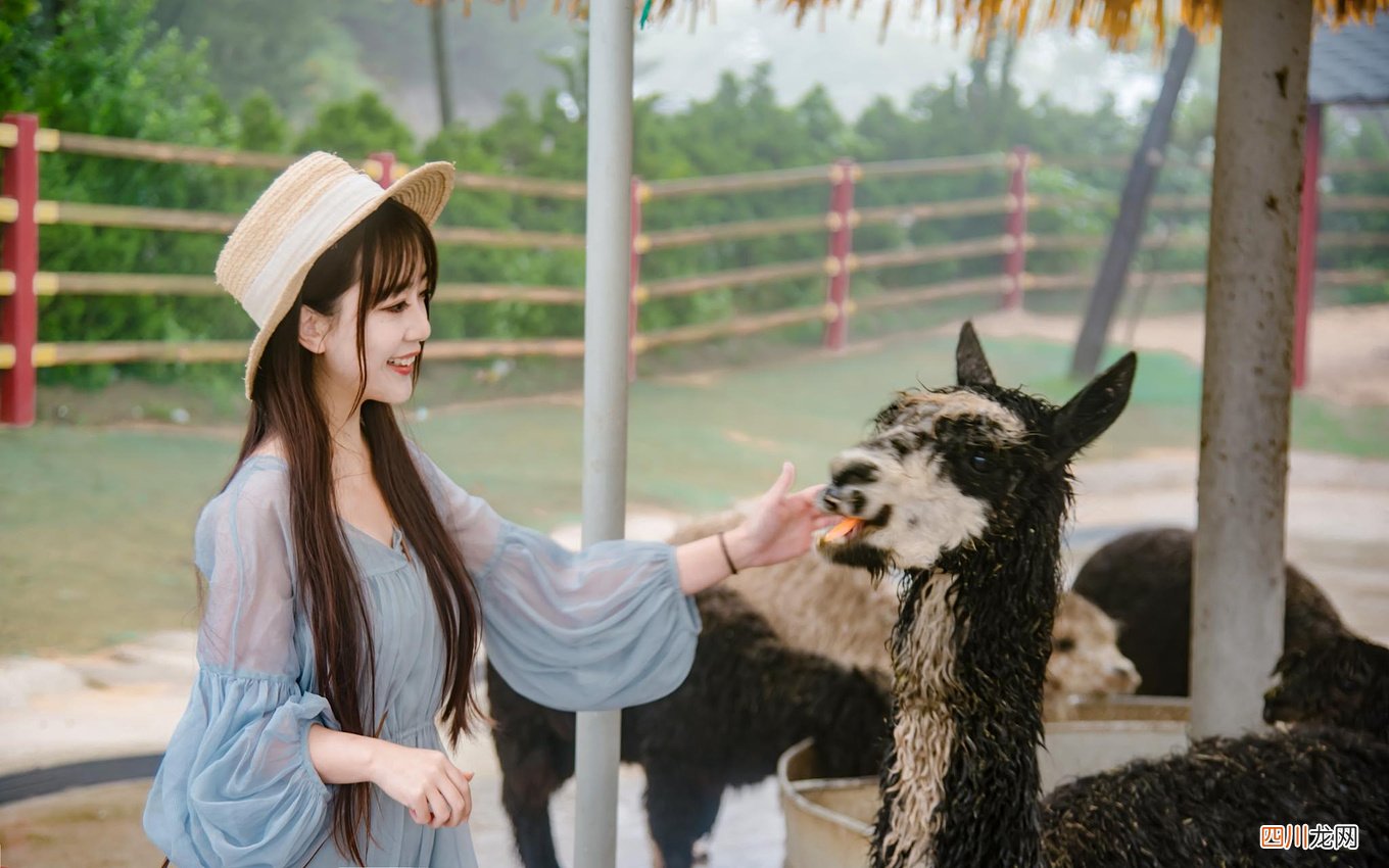 避暑西霞口，在威海过个亲海戏水的浪漫夏天