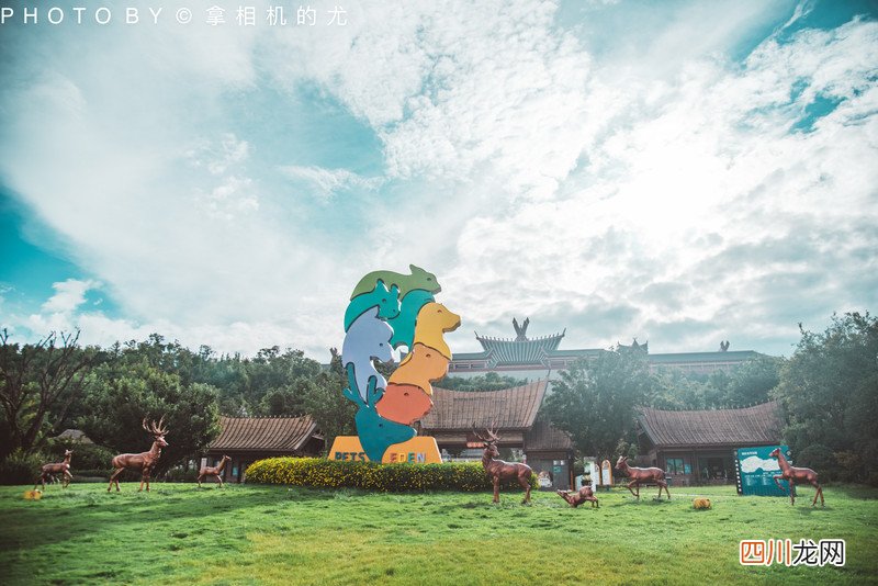含最详全攻略 愿你总有欢乐在身旁｜七彩云南&amp;middot;古滇名城