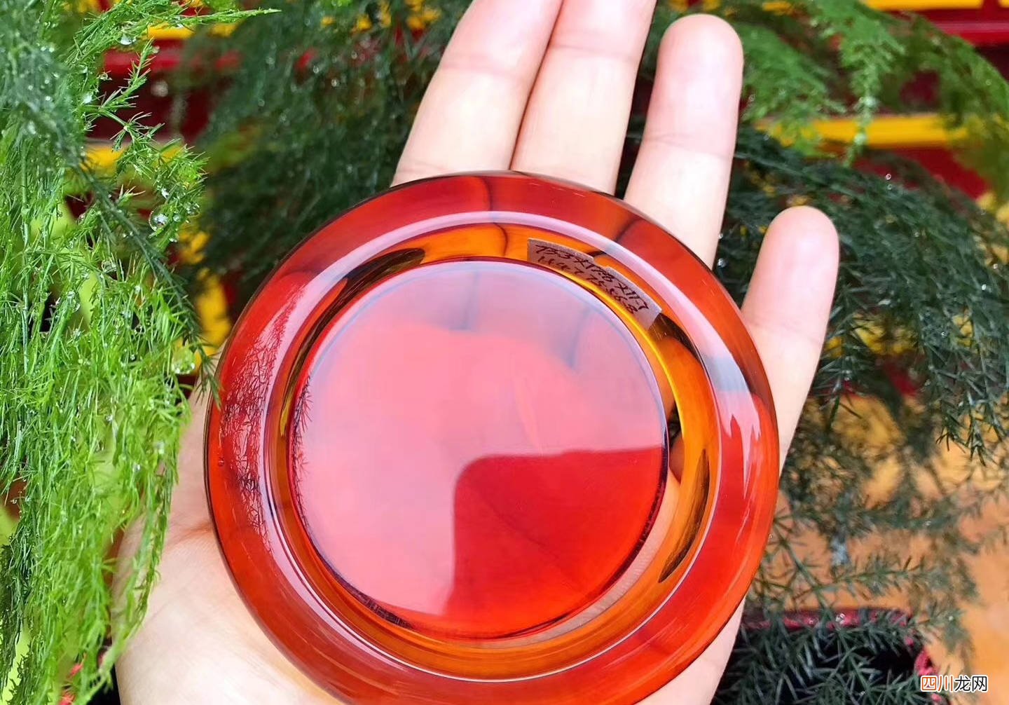 血珀的鉴定和价格，一篇文章全说清了！