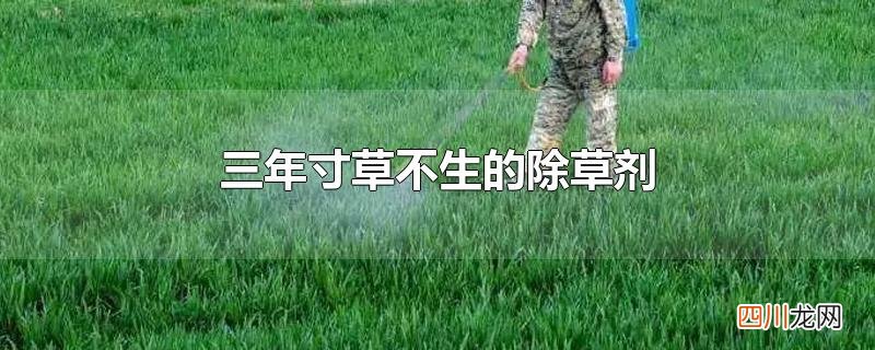 三年寸草不生的除草剂