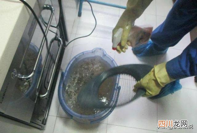 没人注意的暴利行业，单干团队都合适！