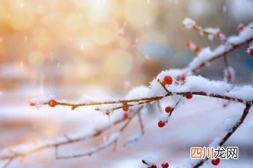 今年冬天啥时交九？具体是哪一天？附2021-2022年数九天时间表！