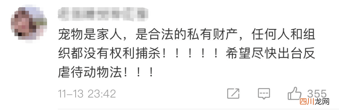 主人被隔离，宠物怎么办？多地有先例