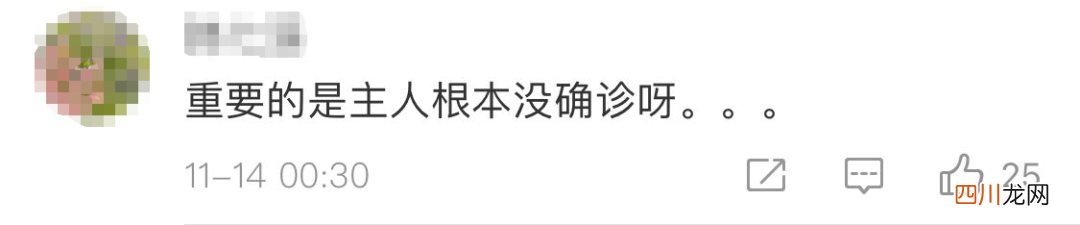 主人被隔离，宠物怎么办？多地有先例