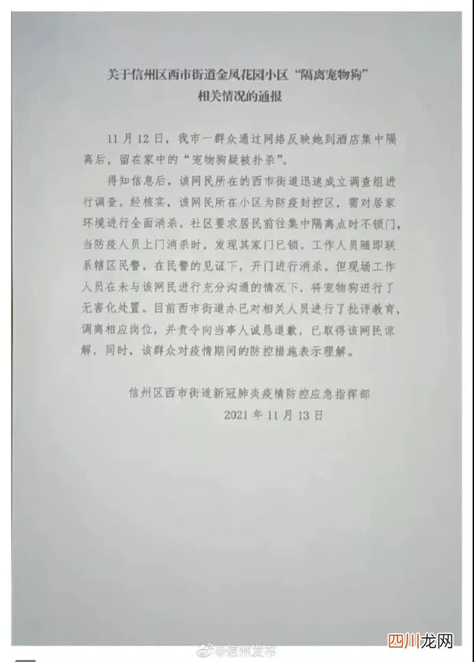 主人被隔离，宠物怎么办？多地有先例