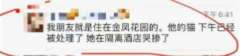 主人被隔离，宠物怎么办？多地有先例