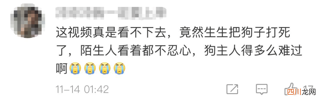 主人被隔离，宠物怎么办？多地有先例