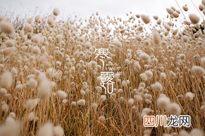 寒露节气的由来含义是什么？寒露跟白露的区别是什么？
