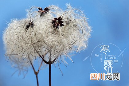2021年10月8日寒露这天结婚不好吗？结婚要避开节气吗？