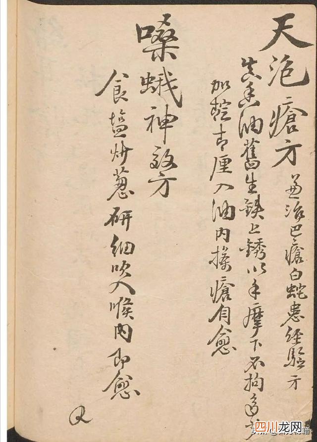 古代的宝物 古籍-宝之，里面全是宝