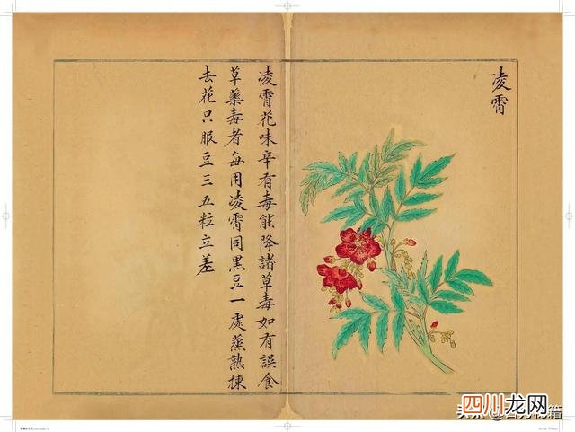 清代王鉴绘画作品 宋王介手绘古籍，内容少见值得收藏！