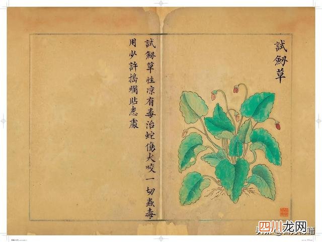 清代王鉴绘画作品 宋王介手绘古籍，内容少见值得收藏！