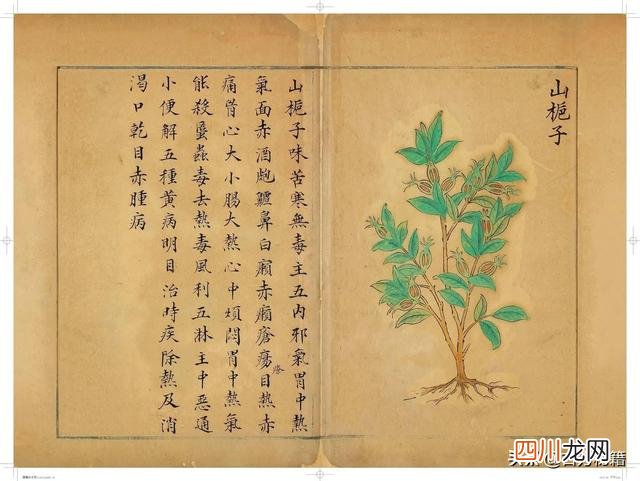 清代王鉴绘画作品 宋王介手绘古籍，内容少见值得收藏！