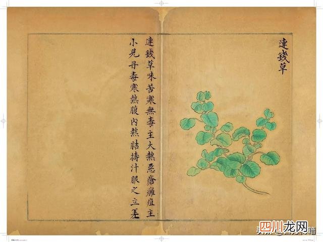 清代王鉴绘画作品 宋王介手绘古籍，内容少见值得收藏！