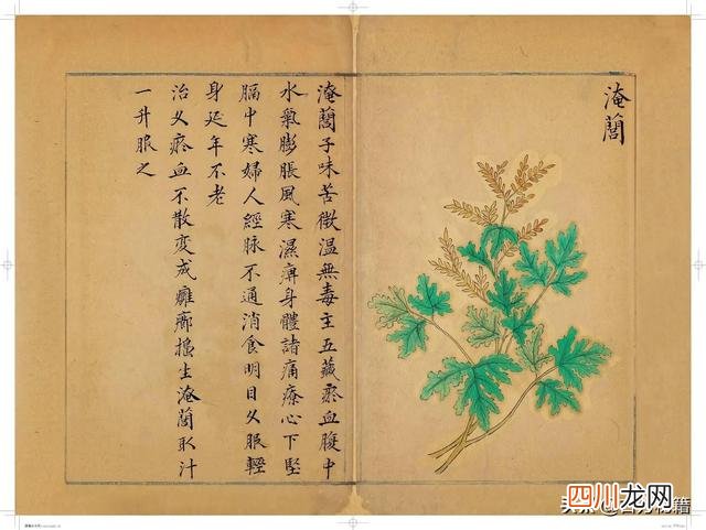 清代王鉴绘画作品 宋王介手绘古籍，内容少见值得收藏！