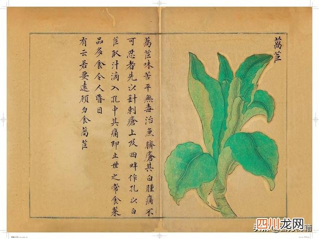 清代王鉴绘画作品 宋王介手绘古籍，内容少见值得收藏！