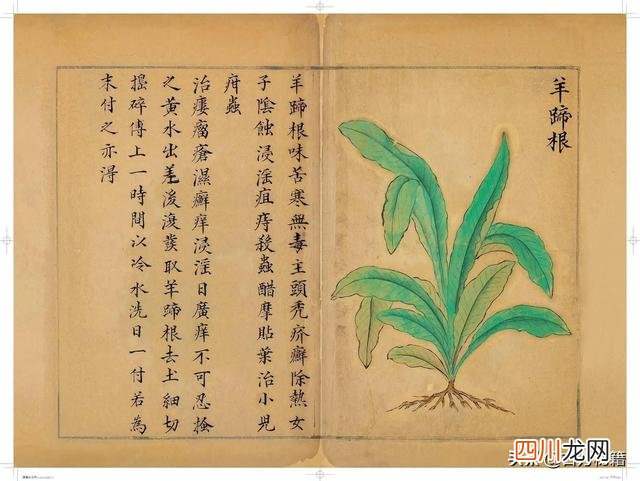 清代王鉴绘画作品 宋王介手绘古籍，内容少见值得收藏！